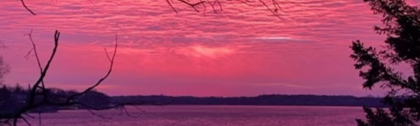 Pink Sky